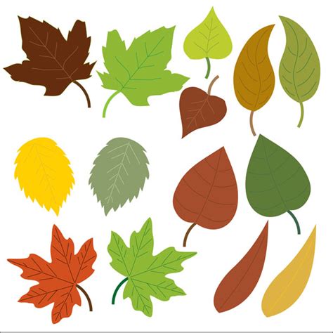 clipart pictures of leaves|free clip art leaf shapes.